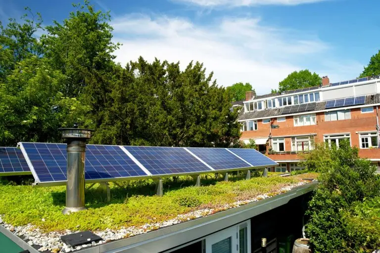 PV-Anlage auf Gründach