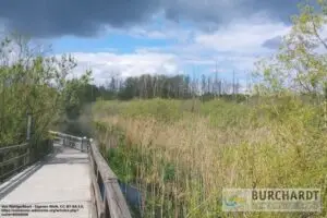 Naturschutzgebiet vor der Haustür