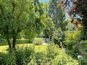 Blick in den Garten